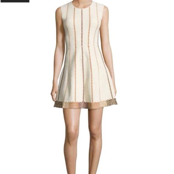 BCBG Dresses & Skirts - BCBG Maxazria Dyanne A Line Mini Dress